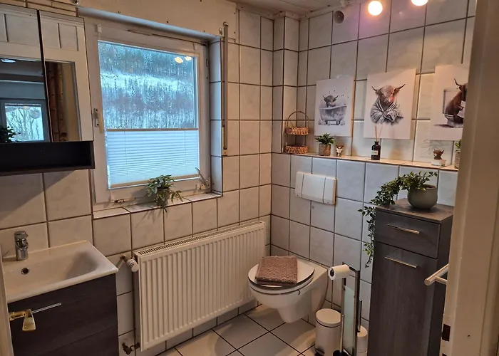 Waldgefluester * Winterberg